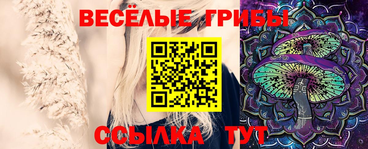 Псилоцибиновые грибы Cubensis Дагестанские Огни