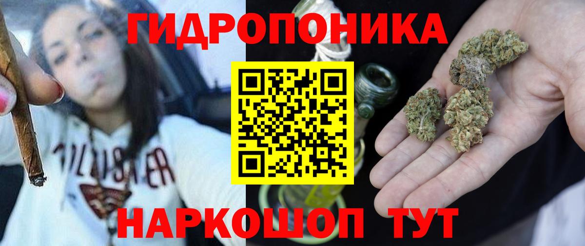Канабис Bruce Banner Дагестанские Огни